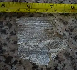 Banded shale of the Chipaque FormationOcetá Páramo