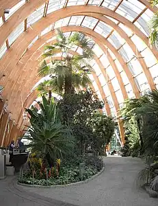 The Sheffield Winter Garden is enclosed by a series of catenary arches.