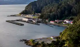 Former Wellington Naval Base at Shelly Bay