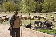Shepherd from Likouria, Achaia