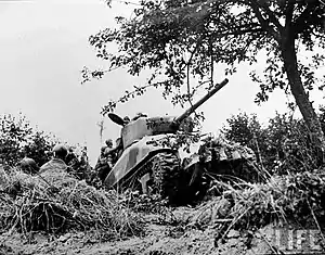 A tank moves through a partially destroyed hedgerow. A tree dominates the upper-right of the photograph