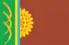 Flag of Shyroke Raion