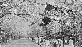 Changgyeong Palace in 1930 (during the period of Japanese rule)