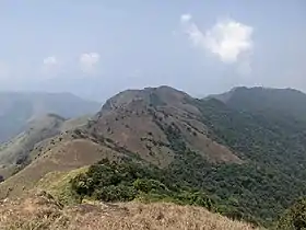 Shola forest & grasslands on way to the Tadiandamol peak