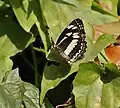 In Kolkata, West Bengal