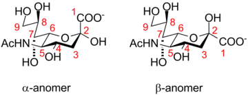 Neuraminic acid anomeric configuration