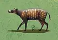 Life reconstruction based on living small-bodied, forest-dwelling ungulates.