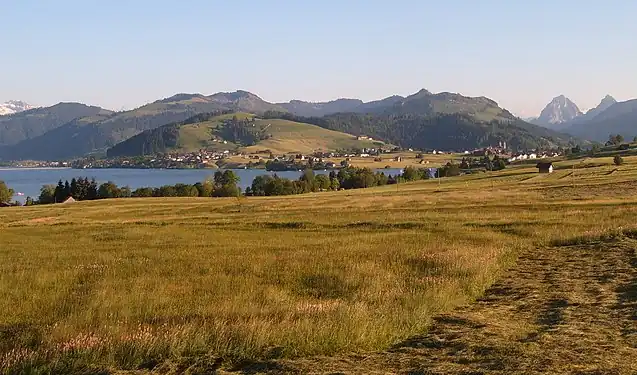 Image 40Northern shore meadows of Sihlsee, an artificial lake near Einsiedeln in the Canton of Schwyz, Switzerland. (Credit: Markus Bernet.) (from Portal:Earth sciences/Selected pictures)