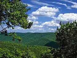 Sinnemahoning State Park