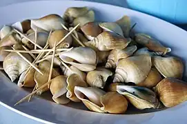 Siput Gongong, a common dish in Batam made of Laevistrombus canarium