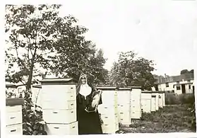 Photograph of Sister Ann Joseph Morris standing by her beehives holding honeycomb.