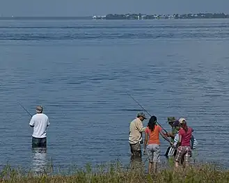 Six wade fishing