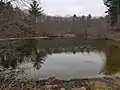 Skating pond