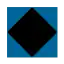 Blue square/black diamond