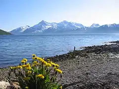 The mountains of Kvaløya seen from Skulsfjord