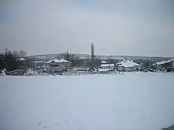 Village during winter