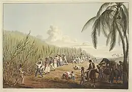 Image 5Sugar plantation in the British colony of Antigua, 1823 (from History of the Caribbean)