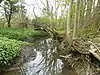 Slinfold Stream