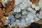 Crystals of smithsonite: Ojuela Mine, Mapimi, Mun. de Mapimi, Durango, Mexico