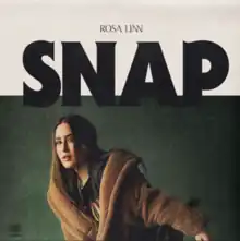 The official cover for "Snap"