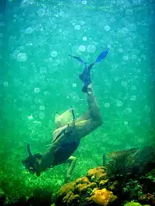 Snorkeling the reef