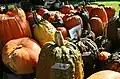 Soham Pumpkin Fair