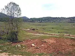 Landscape near Gornje Sokolovo