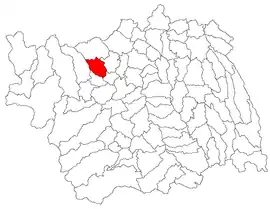 Location in Bacău County