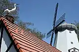 Stork on a rooftop and Danish windmill