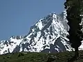 A view of the Himalayas from Sonmarg valley