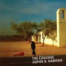 Hawkins standing in the desert near a guitar