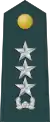 Middle general