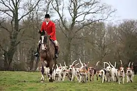 South Wold Hunt