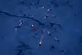 The Soyuz TMA-02M landing site from above