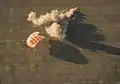 Soyuz TMA-07M touchdown.