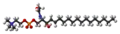 Ball-and-stick model of sphingomyelin