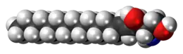 Space-filling model of the sphingosine molecule
