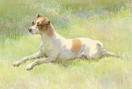 Spot, Queen Victoria's Short-haired terrier, 1895