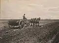 Spreading manure in 1906, photographed by Reuben R. Sallows.