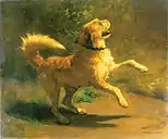 Jumping Dog, 1856
