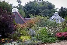 Photograph of plants with some buildings in the background