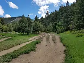 Dirt trail with bike tracks and a forest and hill in the background