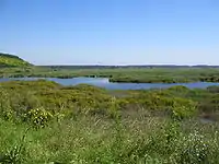 Lake in a landscape with low vegetation.