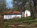 Vacareiian Monastery St. Petka