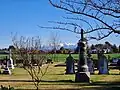 Cemetery at St Joseph's Church, with Mount Hutt in the background