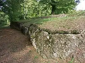 A Gallo-Roman wall in Saint-Lézer