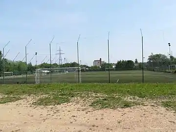 Artificial turf ground of the stadium.