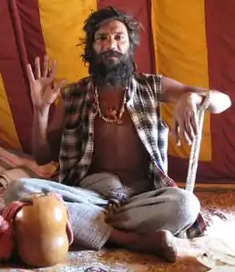 Stambha meditation crutch in use by a yogi at the Kumbh Mela, Haridwar, in 2010. Detail of photograph by James Mallinson