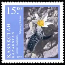 On a postage stamp of Kazakhstan