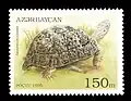 Leopard tortoise on Azerbaijan stamp